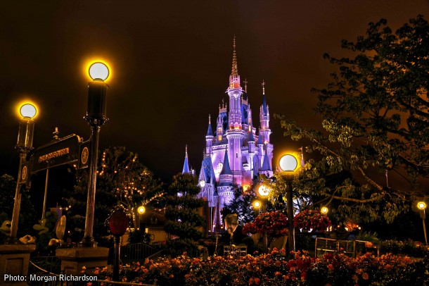 Walt Disney World, Designed to Thrill: Walt Disney World Photo Report