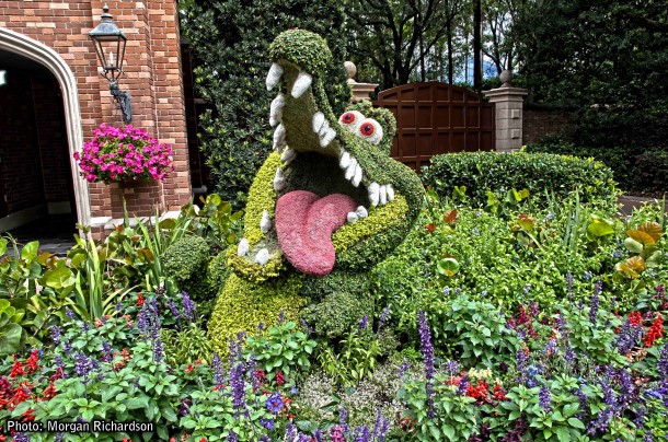 Walt Disney World, Designed to Thrill: Walt Disney World Photo Report