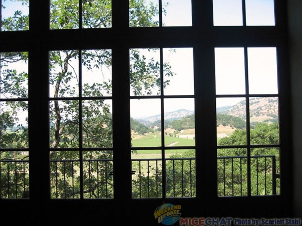 The view from the windows inside the winery. 