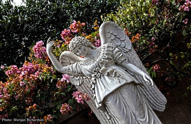 Walt Disney World, Designed to Thrill: Walt Disney World Photo Report