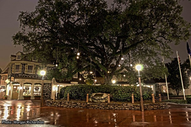 Walt Disney World, Designed to Thrill: Walt Disney World Photo Report