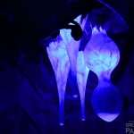 Photo-May-24,-8-14-34-AM