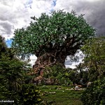 Tree of Life 2