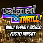 WDW photo report