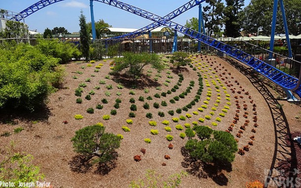 0041