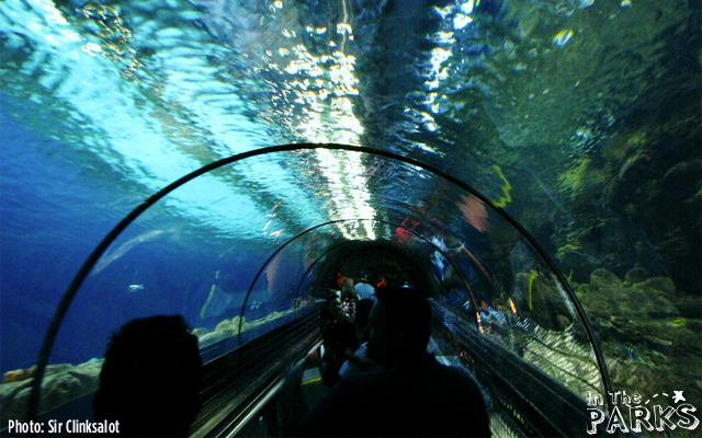 One of the more amazing exhibits in the park is for the Sharks. This is something right out of a Sea World park and looks great.