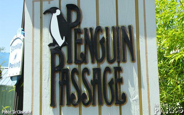 The African Penguins are always a favorite.