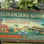 kilimanjaro_safaris1