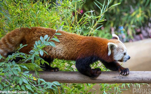 IMG_22833_zps42b2c4ff