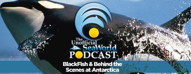 The Unofficial SeaWorld Podcast takes on BlackFish and goes behind the scenes at Antarctica