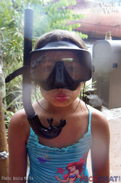 Cool off by visiting Typhoon Lagoon or Blizzard Beach.