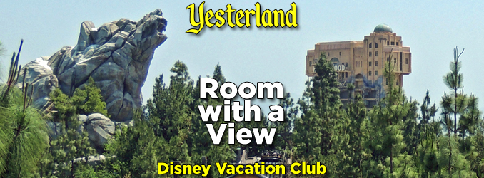 Disney Vacation Club Villa Views
