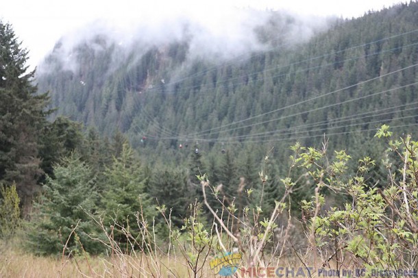This was billed as the world's longest zip line.