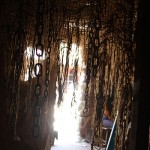 IMG_0040
