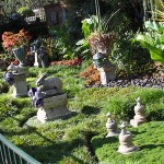 IMG_1060