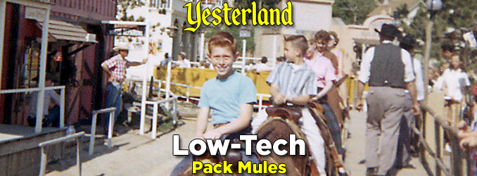 Rainbow Ridge Pack Mules
