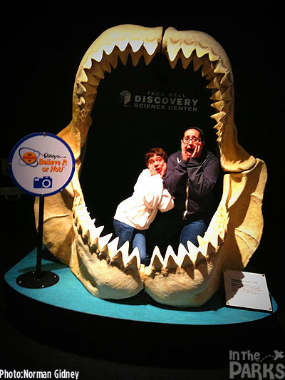 In the jaws of a Megaladon shark.