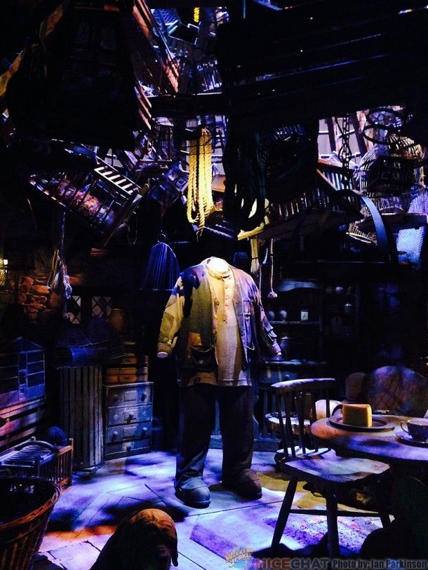 Hagrid's Cottage