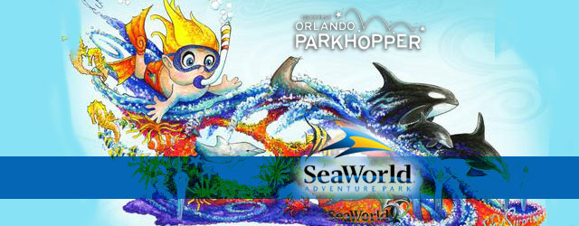 SeaWorld – New Nighttime Shows, New Rides and a Sea of Surprises