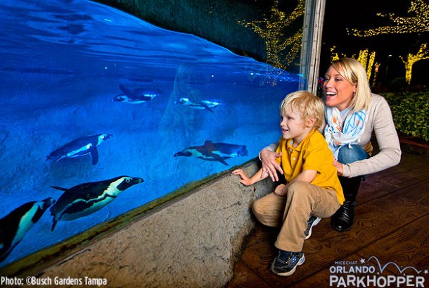 CREDIT-THIS-PHOTO-TO-BUSCH-GARDENS