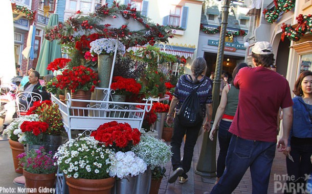 IMG_5165