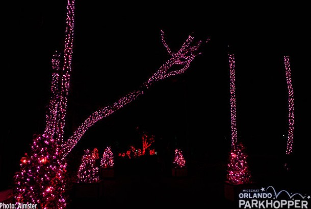 Enchanted Flamingo Valley