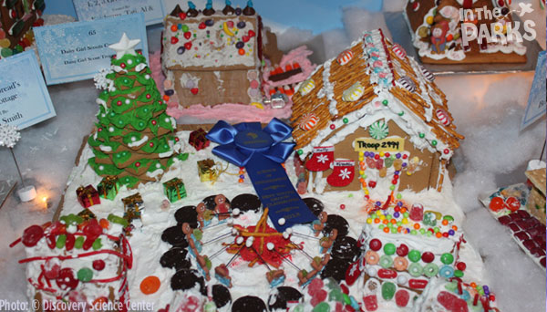 WINNER - #65 &ldquo;Daisy Troop 2994 Campout&rdquo; &ndash; Alicia Richards & Daisy Girl Scout Troop 2994