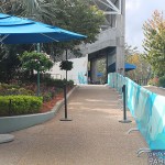 IMG_0082