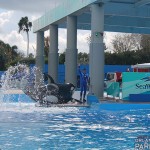 IMG_0104