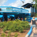 IMG_0477