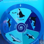 IMG_0486