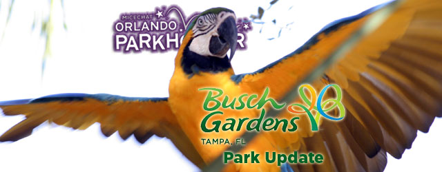 Busch Gardens Tampa Falcons Fury Construction
