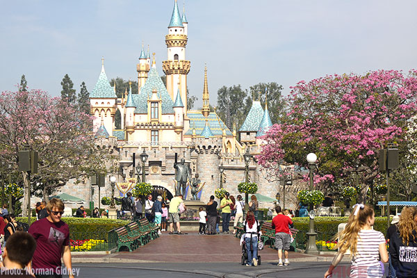 pic1