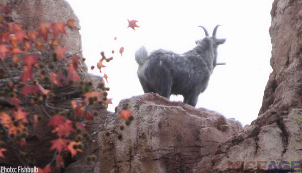 picgoat