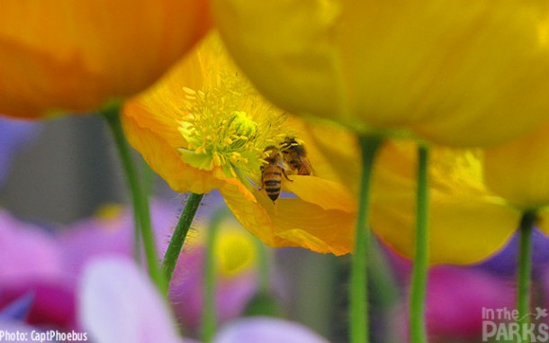 IMG_1074