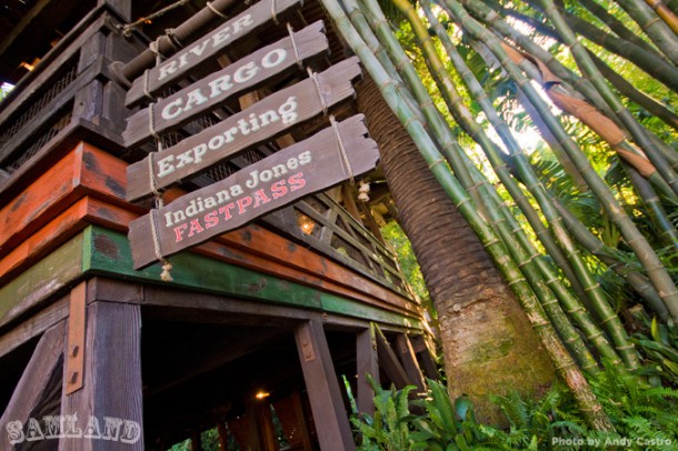 The Dominguez tree, located next to the Indiana Jones Adventure FASTPASS distribution area