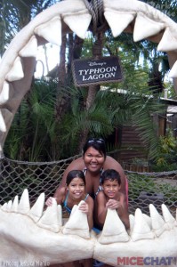 Is the Disney World Water Park Fun and More Ticket Option Worth It