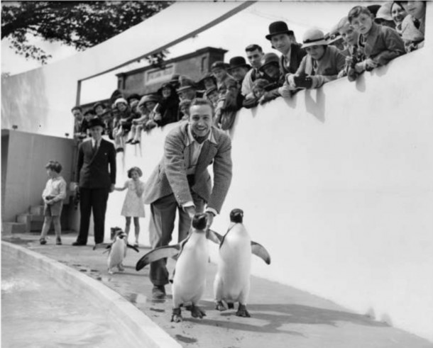 Thirty years before Mary Poppins, Walt with penguins at the London Zoo on June 13, 1935!