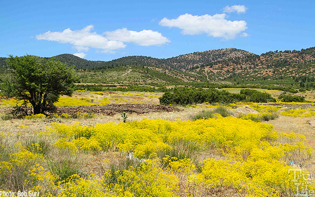 Turkey enjoys a beautiful Mediterranean climate