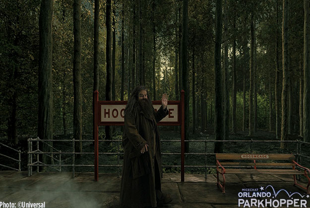 Hagrid-at-Hogsmeade-Station