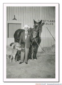 "Before Disneyland was completed, Walt Disney acquired some livestock for the park, stabling the horses at the Disney Studio in Burbank. He had always been intrigued by stories of America's frontiersman and cowboys, and felt that real horses and mules would add much to the atmosphere of his Frontierland."