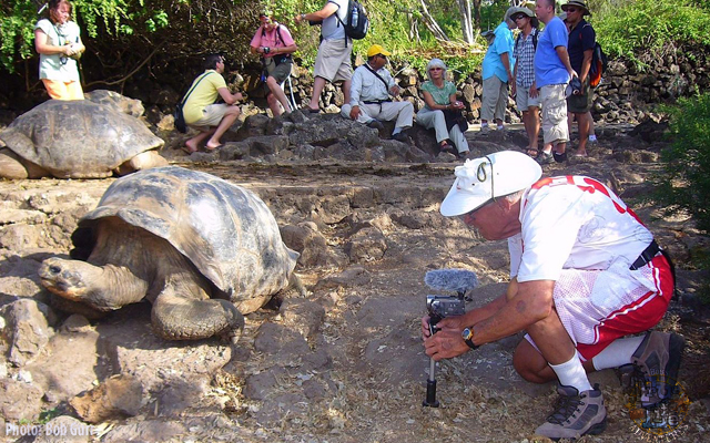 Bob Gurr making his video close-up with a giant tortoise