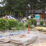 IMG_5489