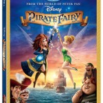 Pirate Fairy Box Art