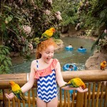 Roas-Aviary-2