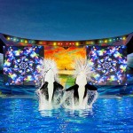 Shamu-Celebration-Light-Up-The-Night
