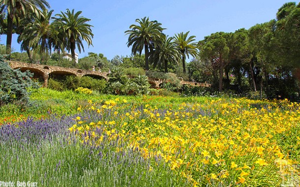 Parc Guell's mountain park is a graced with beautiful flower gardens