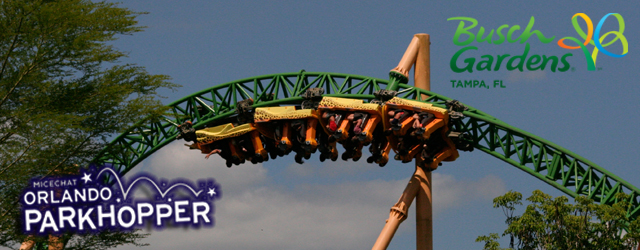 Summer Sizzles at Busch Gardens Tampa