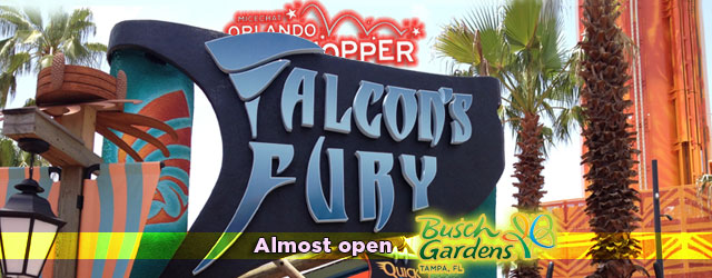 Falcon’s Fury Closer to Opening, Summer Nights Heats Up ...