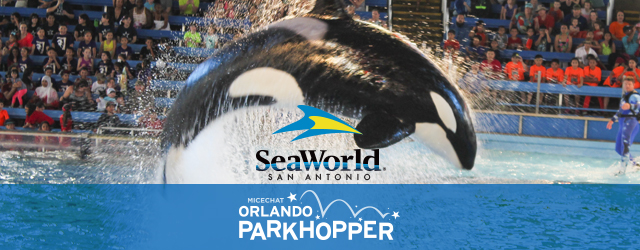SeaWorld San Antonio Review: Three Days in Texas